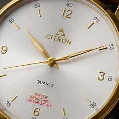 Vegax Citron Classic Men's Watch
