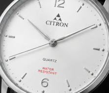Vegax Citron Classic Men's Watch